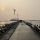 자전거체험학습장 | [제부도] : 준비와 이동, 체험과 먹거리, 하이라이트