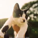 성중목장 이미지