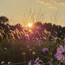 원메이저 힐스테이트 이미지