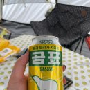 초록슈피아캠핑장 이미지