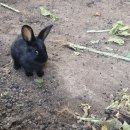 문희주농장 이미지