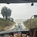 마리나민박 | 총정리|대마도 234890238번 다녀온 꿈이 대마도 민박집 주인장인 한의사의 대마도 여행준비-대마도...