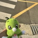 나이스뽑기방 이미지