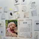 구리 셀프 사진관 그리고 당신 | 애견동반 스튜디오 | 셀프 웨딩촬영