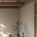 더추나한의원 이미지