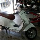 프리마 베라 이미지