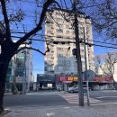 동림빌 | 대구 벚꽃 명소 동촌유원지 벚꽃길 산책로 사진찍기 좋은 데이트장소 카페 햇살상점 주차 애견동반가능...