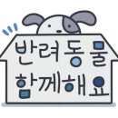 동이애견 이미지