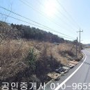 여수시 소라면 복산리 임야1653제곱,매1300만원,전남토지매매,여수토지매매 이미지