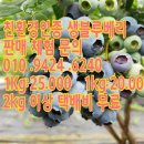 비당농장 이미지