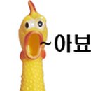 용쟁호투