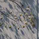 금호동 장미아파트 이미지