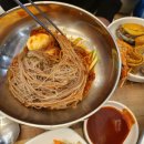 조개패거리 이미지