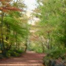 애코랜드 이미지