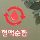 뉴바디체인지 | 통증관리와혈액순환을 동시에 !송도피부관리 뉴바디체인지 송도달빛축제공원역점 대만족 후기