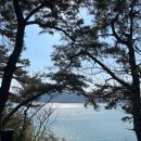 곡성-268 | [구례/곡성/여수 여행] 2박 3일 뚜벅이 여행 2일차 (카페플라피, 오동도, 케이블카, 여수당,거북선 빵...