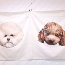 SM펫살롱 이미지