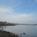 태안호스릴-38 | 태안 출조 후기 1차전 (25/10/31) <쭈>