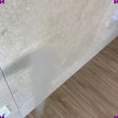 금오동물약품 | 구미 입주청소, 컬리클리닝으로 안심하고 깨끗한 우리집 만들기