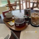 훈훈한 과일 중동 | [신혼여행:카타르도하] 페어몬트 도하 골드룸 혜택 및 후기 // 잊지못할 허니문이벤트까지