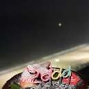 호텔 쏠레르 이미지