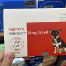 솔내음약국 이미지