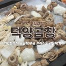 덕양곱창전골거리 | 여수 덕양 곱창 거리 곱창전골 막창구이 생각날 때 덕양 곱창