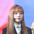 꼽슬이네 이미지