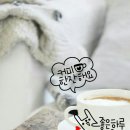 커피는사랑