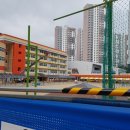 느리울초교병설 이미지