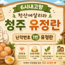 자연농장고향밥상 | 6시내고향 산골 남매의 육아일기 청산에살리라 충북...7월16일 방송 등고개농장 주문 쇼핑몰 홈페이지