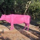 서해미술관 이미지