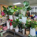 빅스토아 이미지