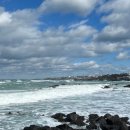 브로콜리삼춘 이미지