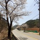 마차5리마을회관 이미지