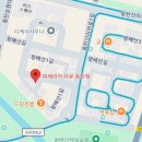 본토(本土)공인중개사사무소 | 🍕동탄 피자 맛집 끝판왕! 진짜 나폴리 피자 '피제리아 다문' 리얼 후기 (인생피자 등극) 🚀