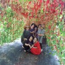 분도농장 이미지