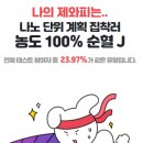 개냥이 연구소 이미지