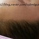 더끌린헤어 이미지