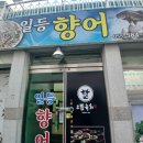 일등향어 티스토리