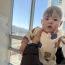 수정위례-D-10 | [비바헬멧 위례센터]쌍둥이들 두상 3D 교정 헬멧 5회차 교정 후기 &amp; 깨진 헬멧 수리