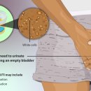 안비뇨기과의원 이미지