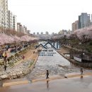 대조동 34-1 이미지