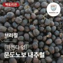 문도노보