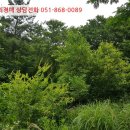 민다리길 네이버블로그
