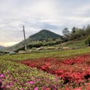 한철농장 이미지