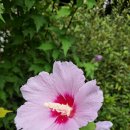 그림자정부의 지배하에 놓여 있는 대한민국정부 모든 기능은 공산적화 완료 단계에 이르러 있었기 때문에 윤석열 대통령을 불법으로 서울구치소 이미지