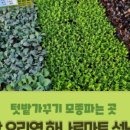 오리역.하나로마트 이미지
