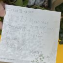 맘리스 Daum카페