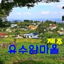 애월읍 유수암마을 이미지